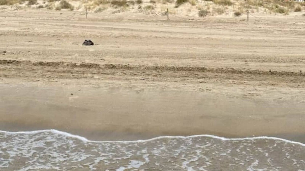 Castello de la Plana Villa | Villa Grao Benicasim REF 026