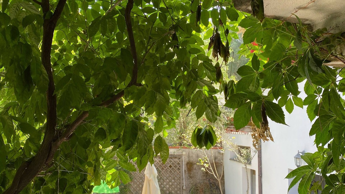 Palinuro Villa | Villa Immersed in the greenery of the Cilento national park in Palinuro