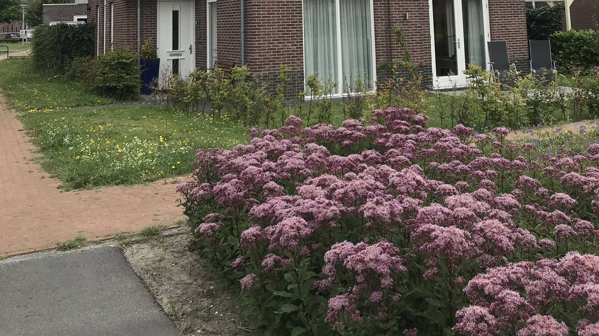 Noordwijkerhout House | Villa in Noordwijkerhout (municipality of Noordwijk), near Sea and Town centers