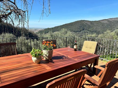 San Giovanni alla Vena House | Villa in Tuscany with Pool and Olive Grove