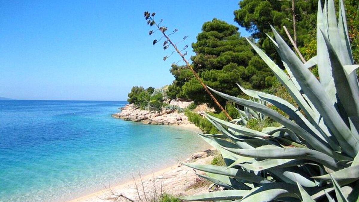 Murvica Villa | Villa Ivana, (15332), Bol, hr