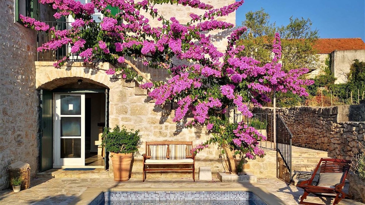 Mirce Villa | Villa Ivana Summary: