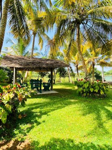Bentota Villa | Villa Laceleaf