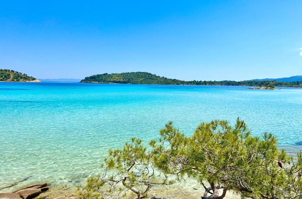 Sithonia Villa | Villa Lagonisi