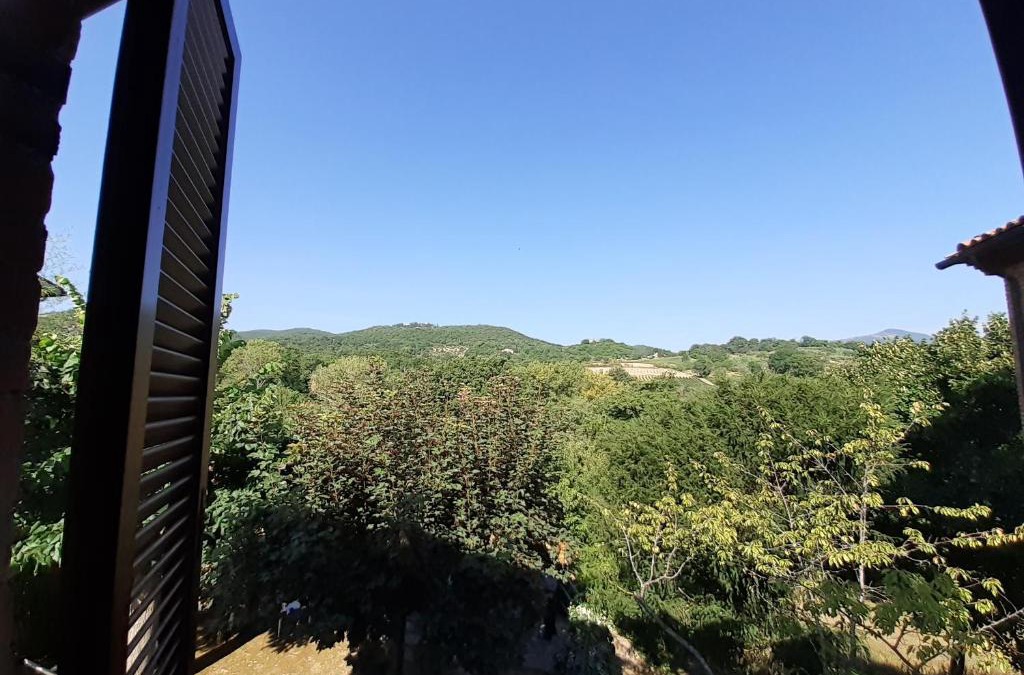 Palazzone House | Villa Le Palmine