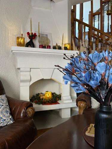 Ohrid House | Villa Lena