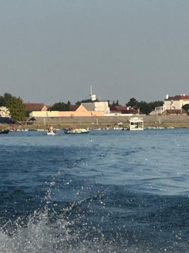 Novi Becej House | Villa Leon