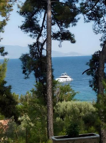 Mytilene Villa | Villa Lesvos 30 meters to the Sea
