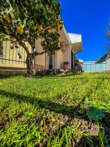 Vasto House | Villa Limone Vasto - Casa Vacanza con Giardino Privato -
