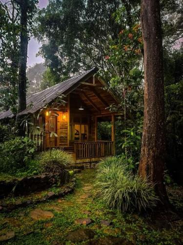 Imaduwa Cabin | Villa
