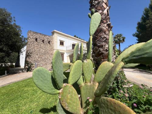 Galatina Apartment | Villa Madama Depandance