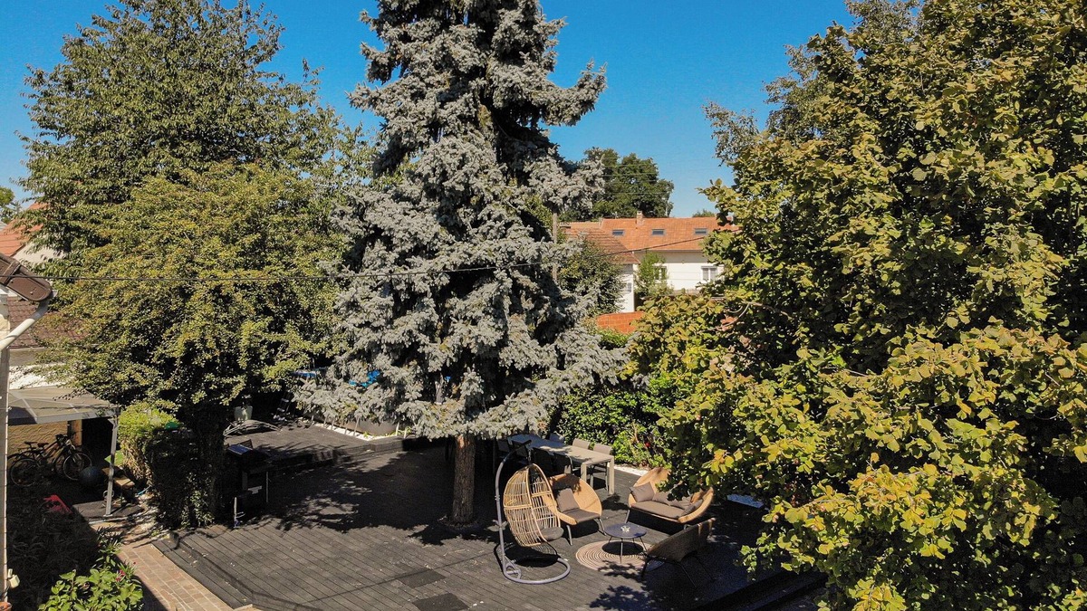 Villemoisson-sur-Orge Villa | Villa Maxonale near Paris for your desired stay