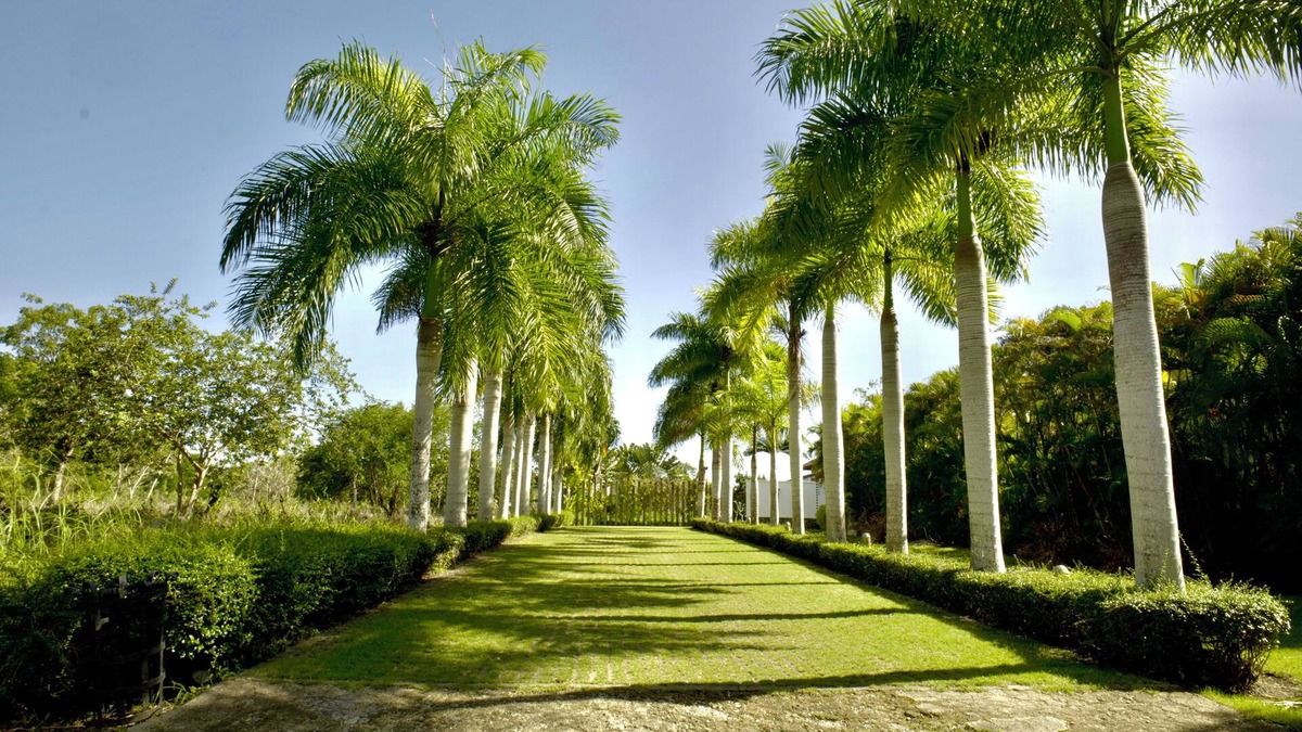 Guayacanes Villa | Villa MB