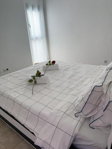 Playa Blanca Apartment | Villa Michael