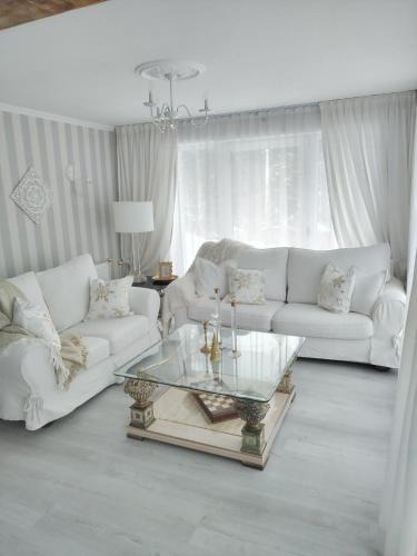 Lupeni Apartment | Villa Monica