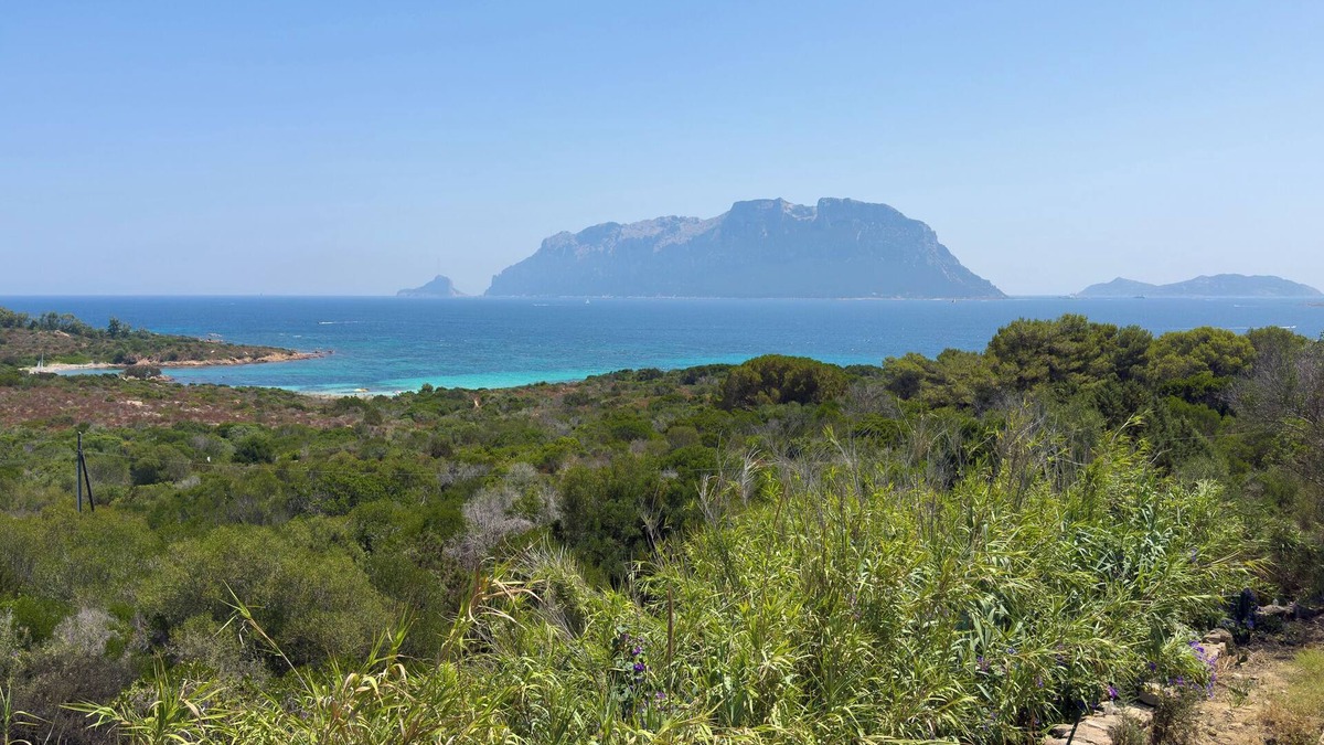 Porto Istana Villa | Villa Pony - Four Bedroom Villa, Sleeps 8