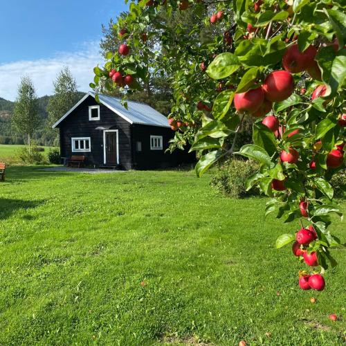 Hammarstrand House | Villa Ragunda