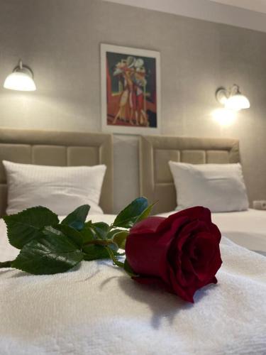 Koscierzyna Hotel | Villa Regina - Spokojna okolica - 100 metrów od lasu - blisko szpitala