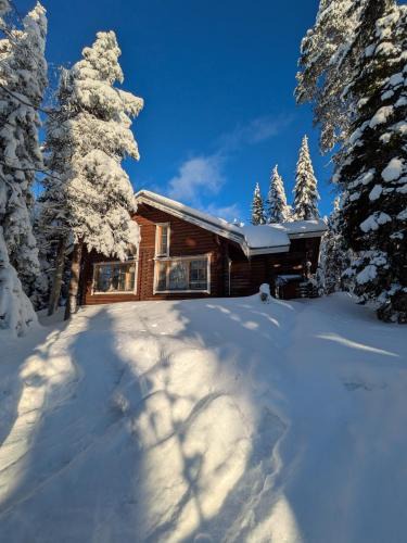 Syote Villa | Villa Riekonpesä, Mountain top