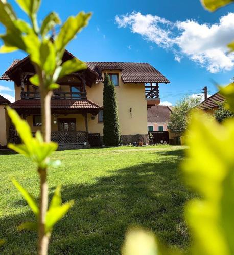 Carta Villa | Villa Rusu