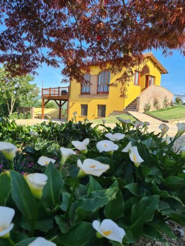 Sigillo Villa | Villa Scarialetto nel Parco Naturale di Monte Cucco