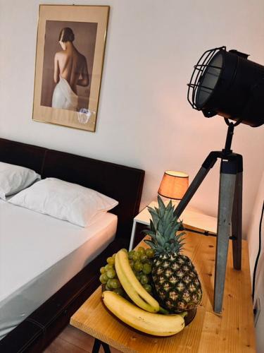 Skopje Region Apartment | Villa Srna Apartments