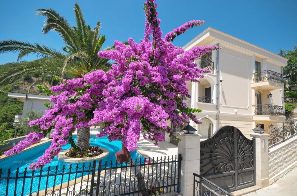 Lucice Villa | Villa St.George