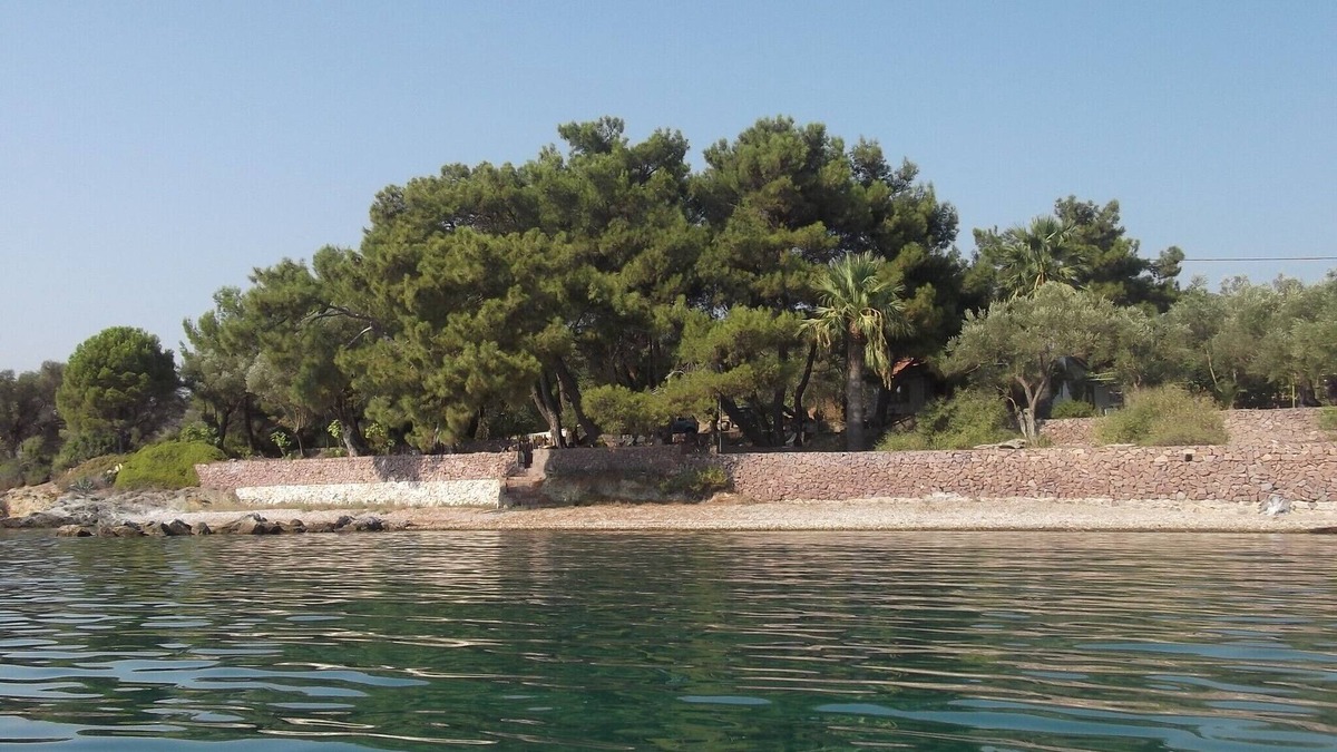 Mytilene Villa | Villa surrounded by 8000 m2 olive groove, under pine trees, on waterfront