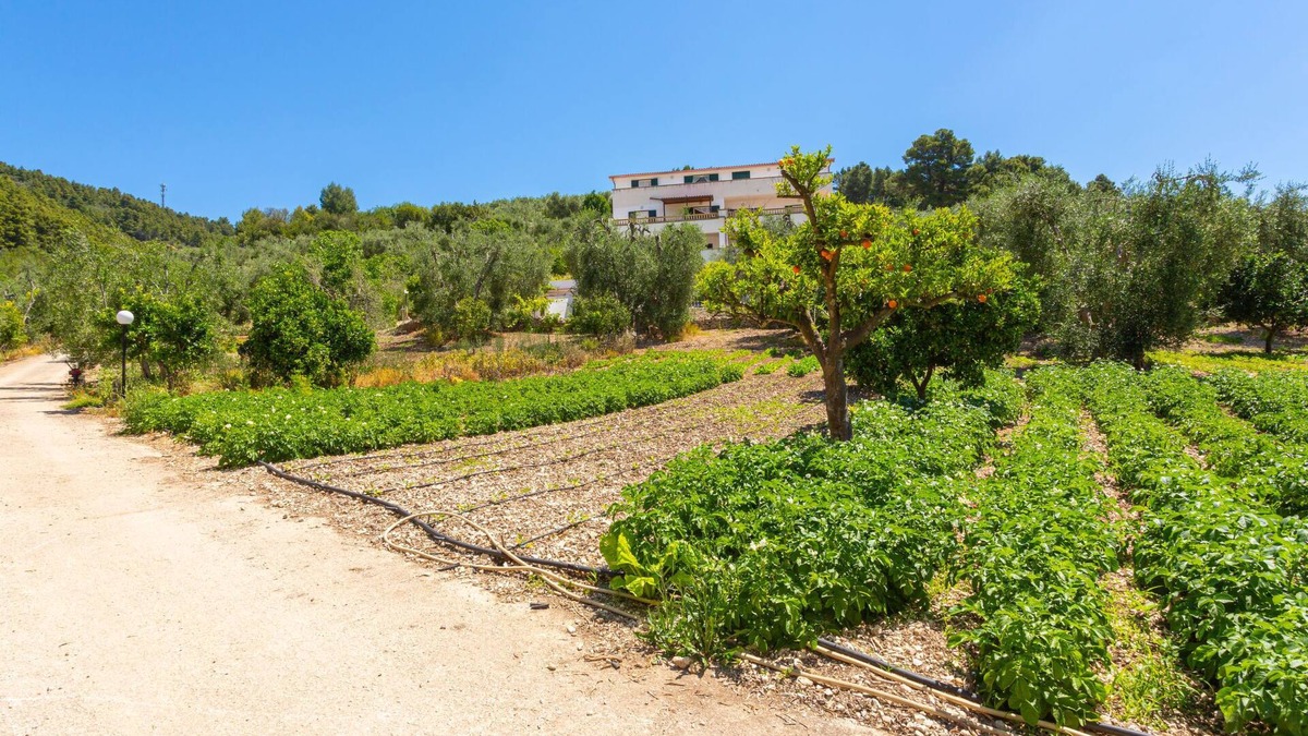 Peschici Apartment | Villa Tavaglione by Interhome