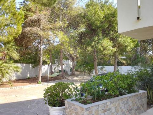 Torre Chianca House | Villa Teresa Sea - Relax - Nature - Sun