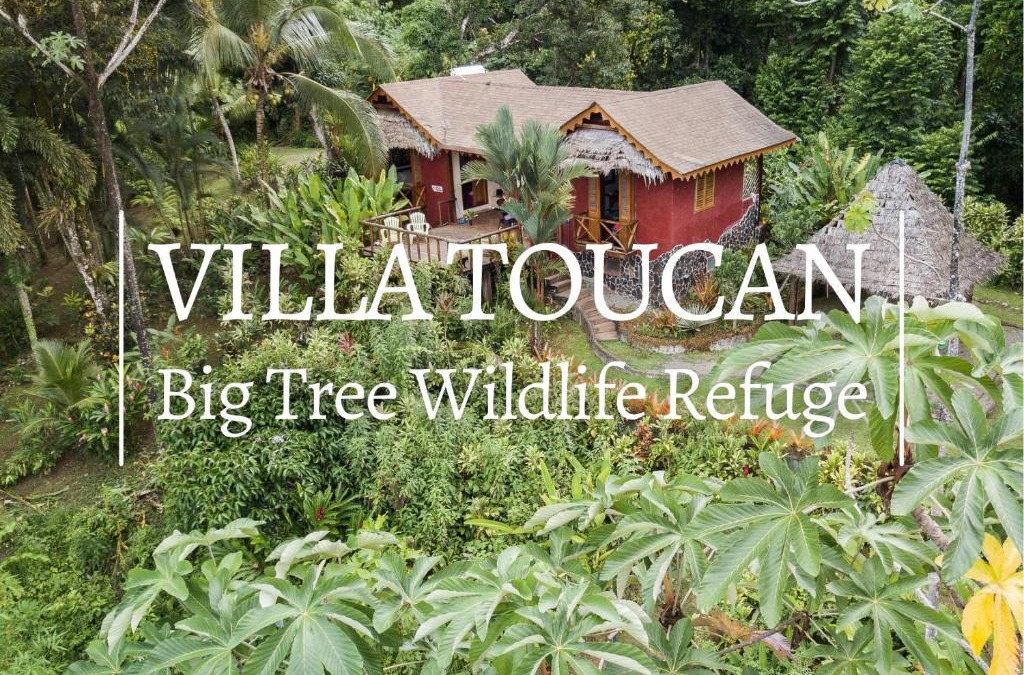 Punta Uva Villa | Villa Toucan with National Geographic Views