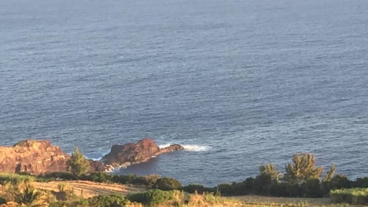 Grande Anse House | Villa Vanille T2/4 sea view near Grande Anse beach