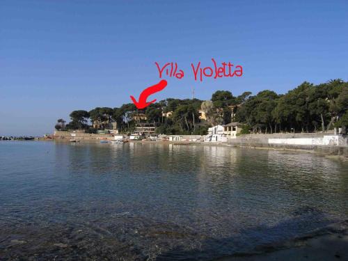 Castiglioncello Apartment | Villa Violetta