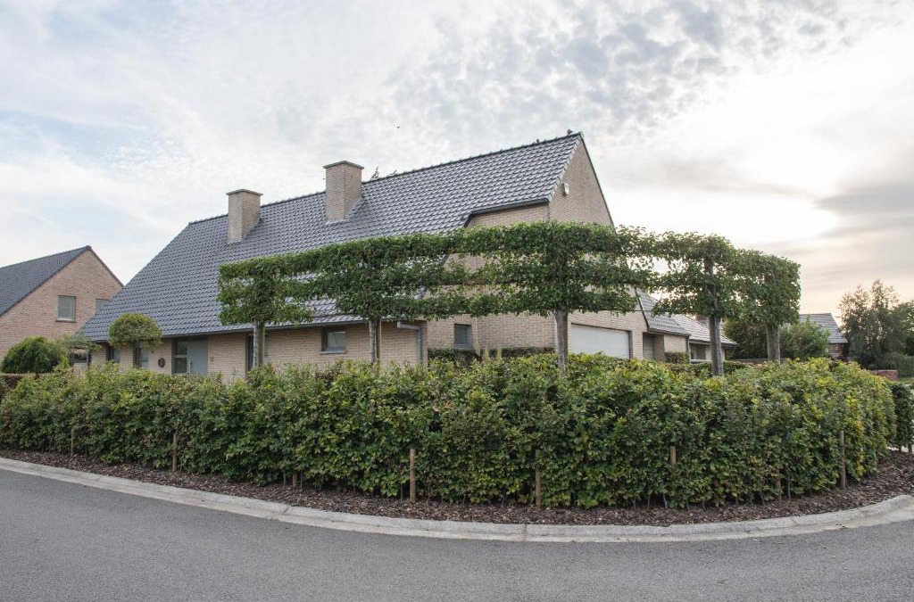 Poelkapelle Villa | VILLA WESTHOEK