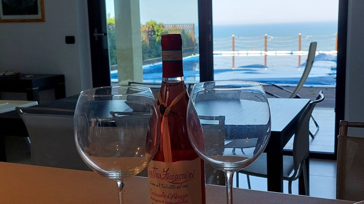 Marina di Vasto Villa | Villa with Pool Sea View