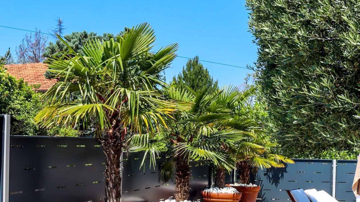 Milcetici Villa | Villa with sea view and pool with two separate apartments