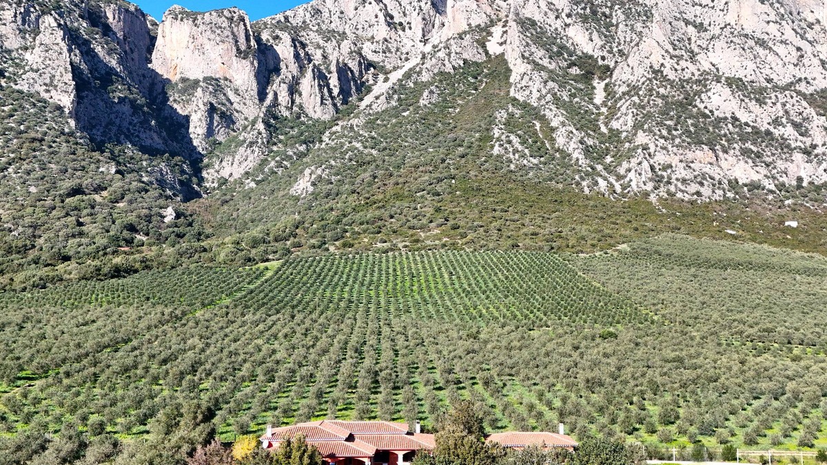 Siniscola Villa | Villa with stunning views to the mountains 5km from the beach