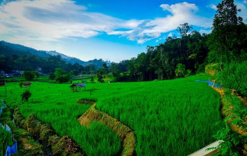 Hali-Ela House | Village Breeze Cabana