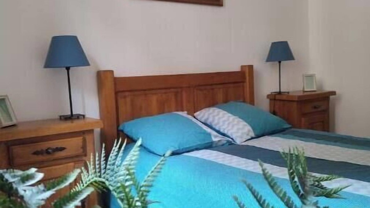 La Cote-Saint-Andre House | Village house facing the castle Pets welcome