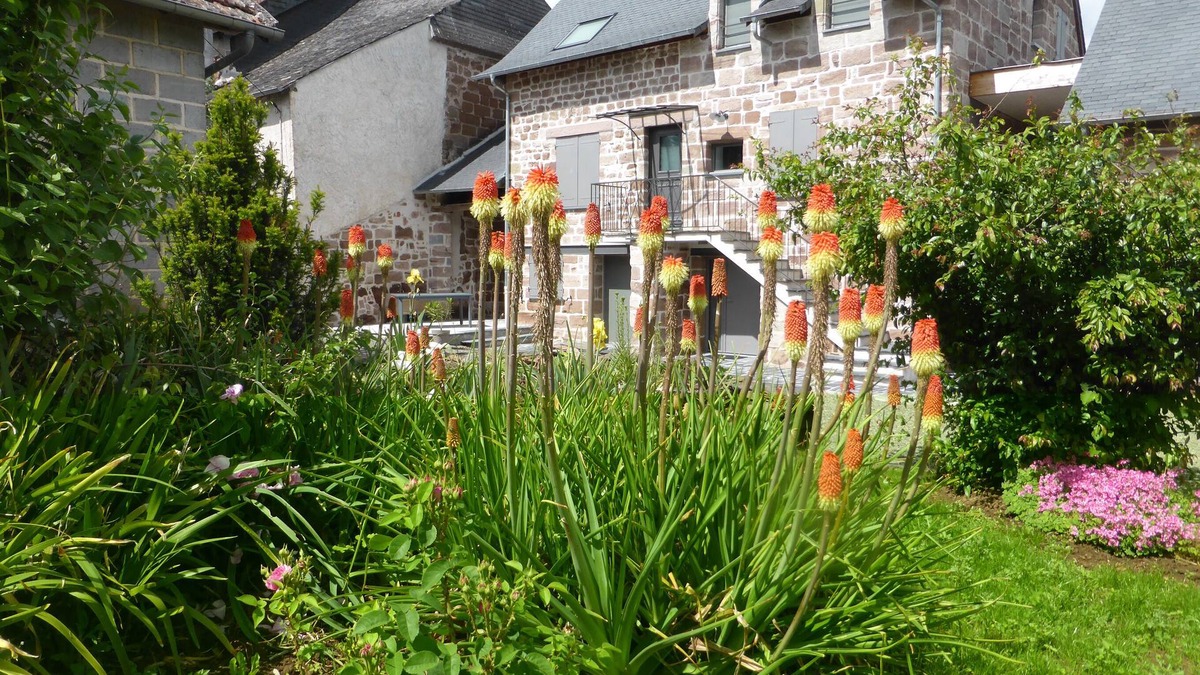 Objat Cottage | Village house * Brive-la-Gaillarde area