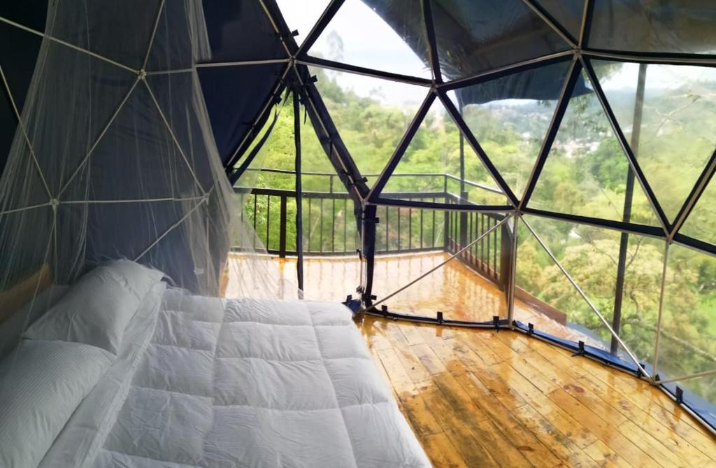 San Francisco Other | Villas del Río-Finca Hotel