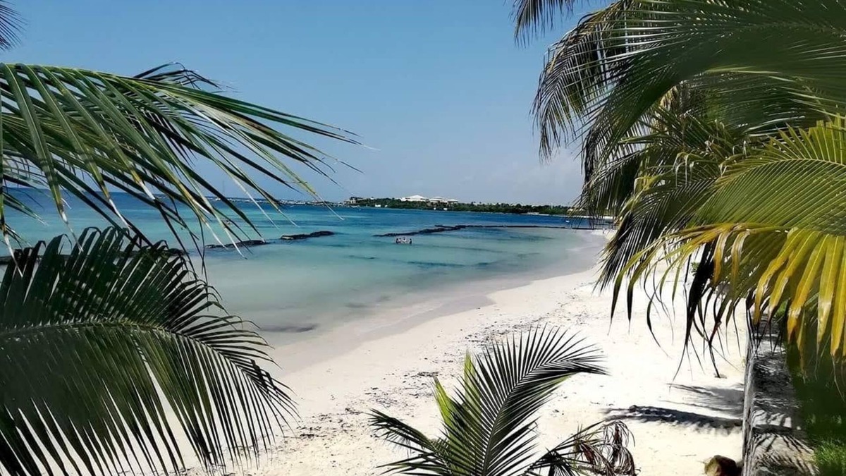 Puerto Aventuras Hotel | Villas Picalu Studios & Suites