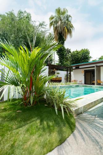 Puerto Viejo de Talamanca Cabin | Villas y Casa Dìwö - Puerto Viejo