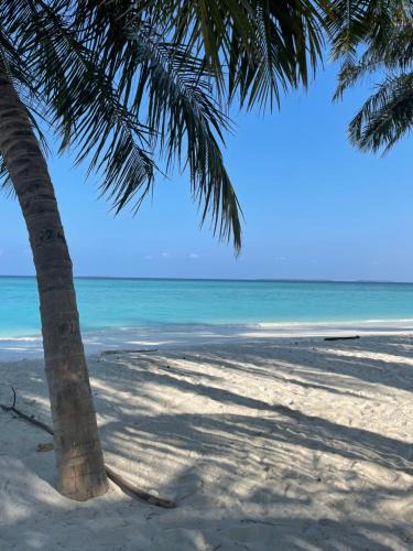 Hanimaadhoo Hotel | Viluveli Holiday Retreat -FREE Domestic Flight Return ticket for stay over 5 nights -offer Valid till January 15th 2026