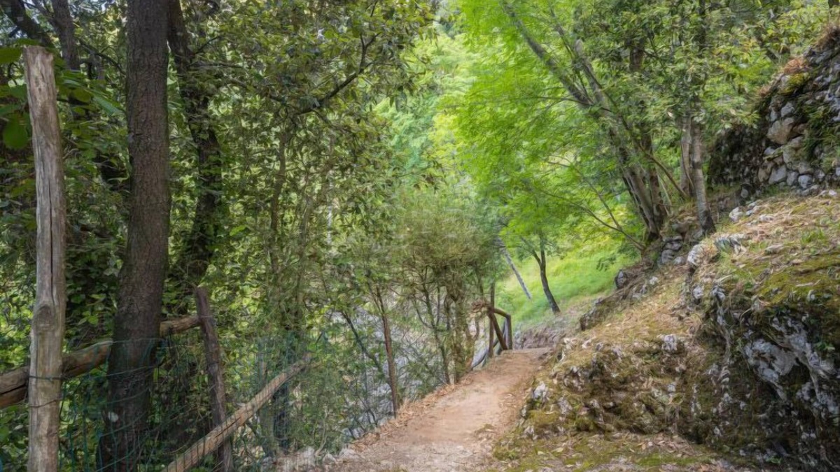 Stazzema House | Vincio by Interhome