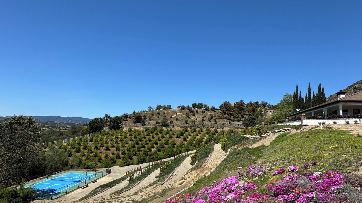 Temecula House | Vineyard Farmhouse with Private Pickleball in Temecula