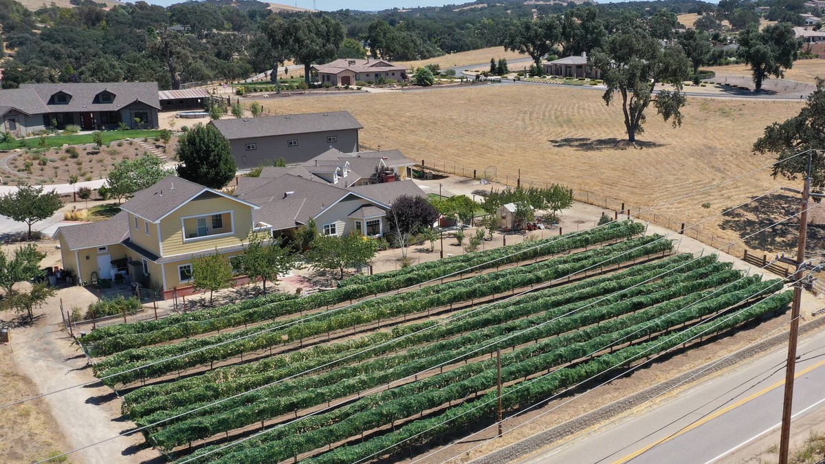Paso Robles Apartment | Vineyard Guest House, Fabulous Views and Covered Parking