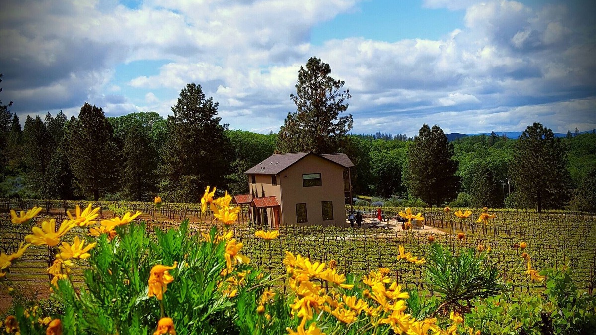 Kelseyville House | Vineyard View Sunset Suite