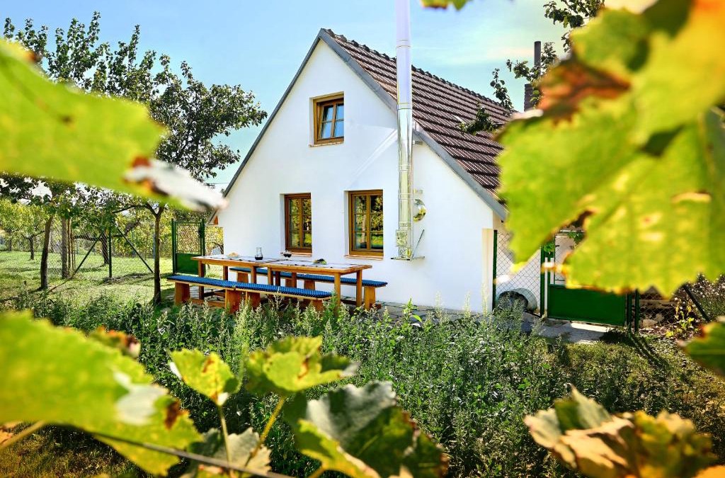 Blatnice pod Svatym Antoninkem Apartment | Vinný sklípek Blatnice