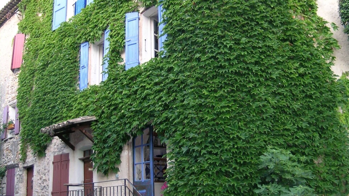 Vinsobres House | Vinsobres - Drôme Provençale